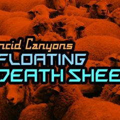 Support the Kickstarter for the DCC Edition of “Rancid Canyons of the Floating Death Sheep!”