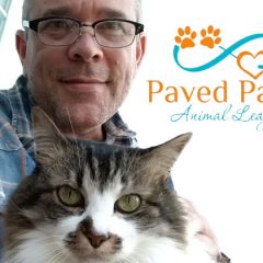 Support Cat Rescues With Dave Baity’s DCC Raffle
